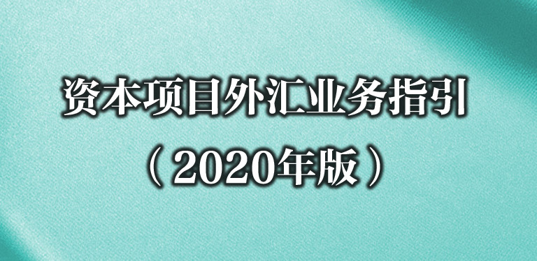 ʱĿҵָ2020棩