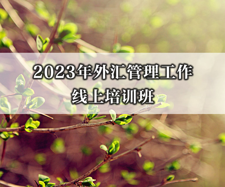 2023ѵ