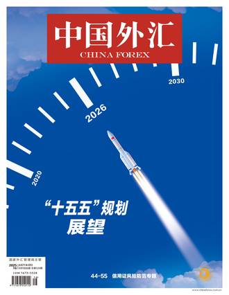 ʮ塱滮չ
